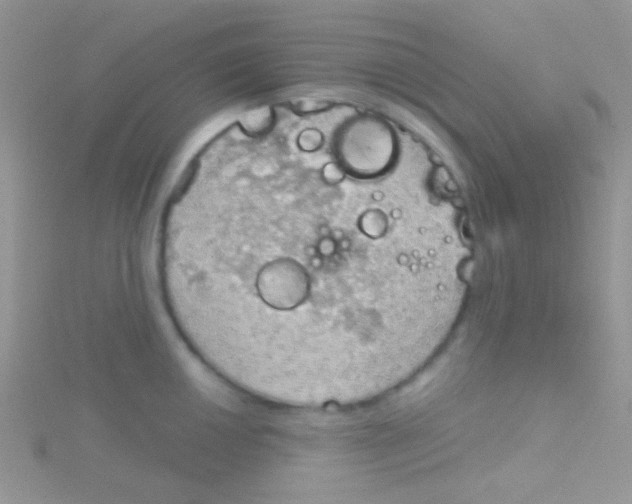 X0000115031050200911231108