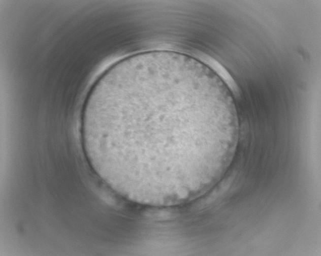 X0000115031051200911231108