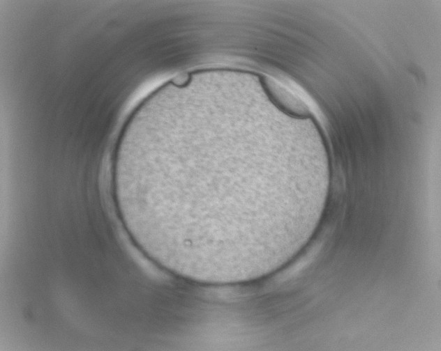 X0000115031053200911231108