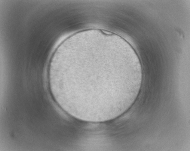 X0000115031056200911231108