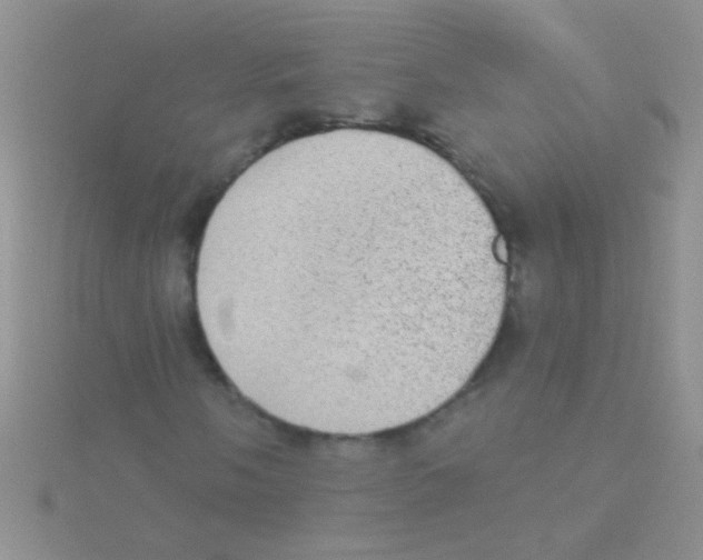 X0000115031058200911231108