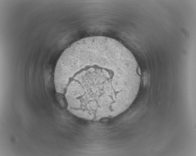 X0000115031059200911231108