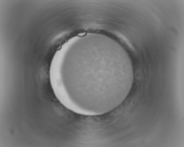 X0000115031063200911231107