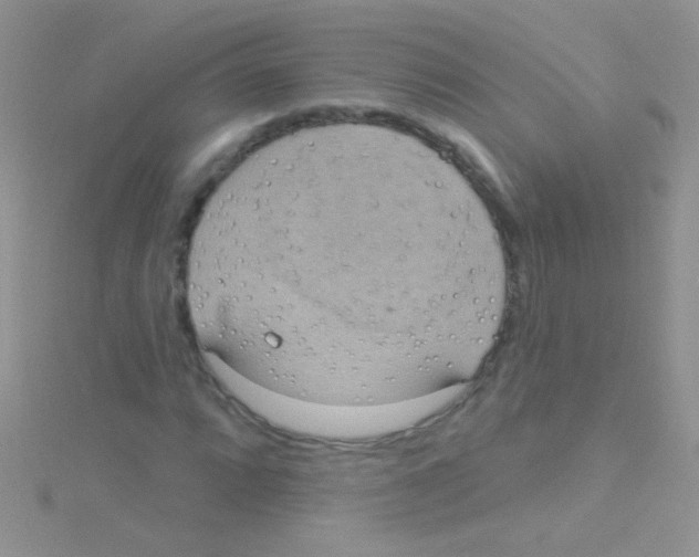 X0000115031064200911231107