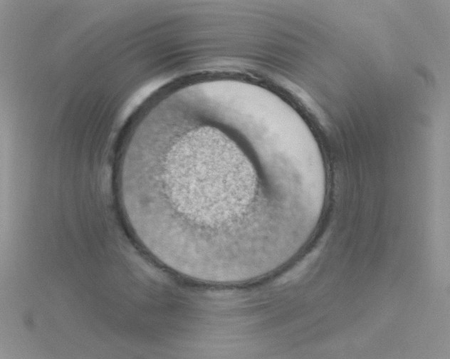 X0000115031066200911231107