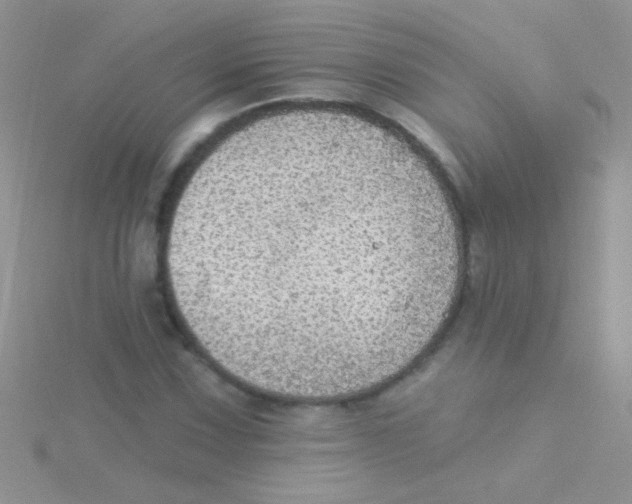 X0000115031067200911231107