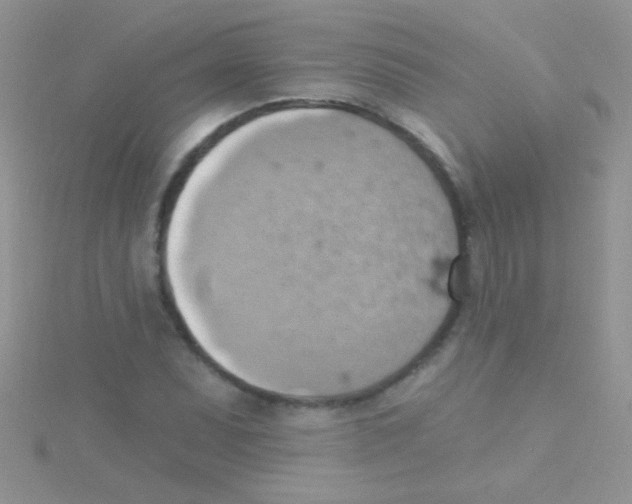 X0000115031071200911231107