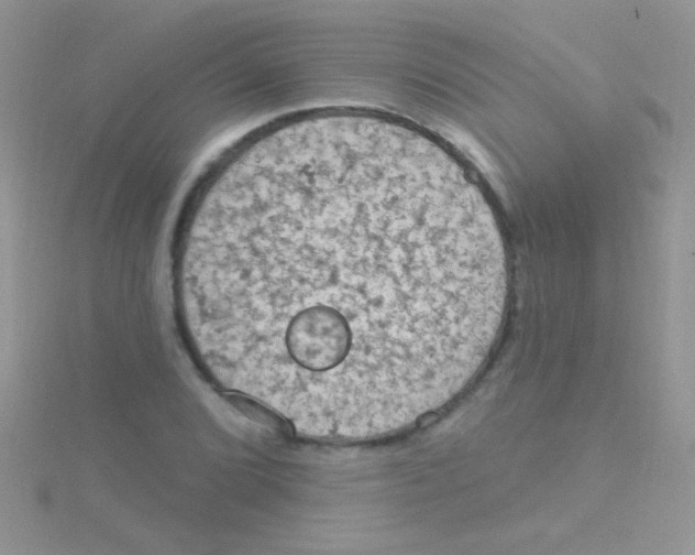 X0000115031072200911231107