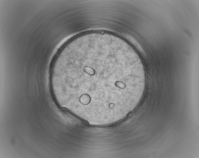 X0000115031076200911231107