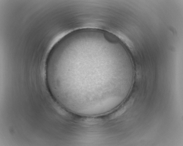 X0000115031077200911231107