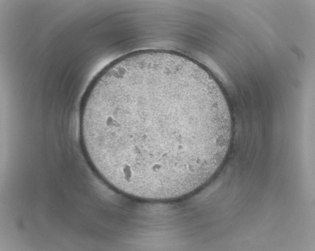 X0000115031079200911231107