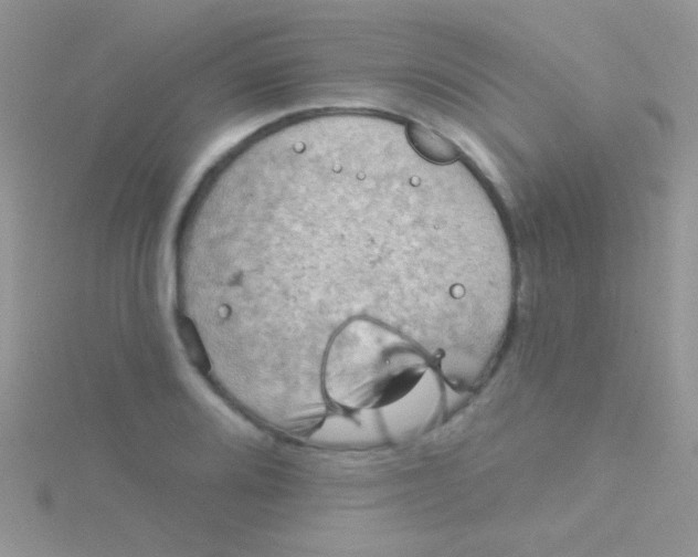 X0000115031080200911231107