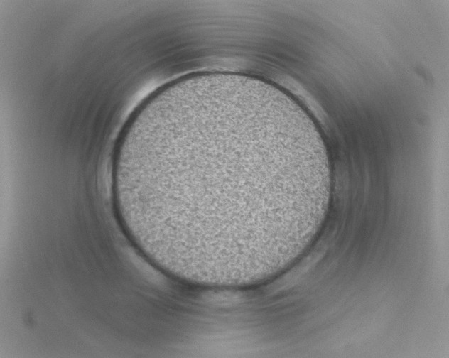 X0000115031083200911231107