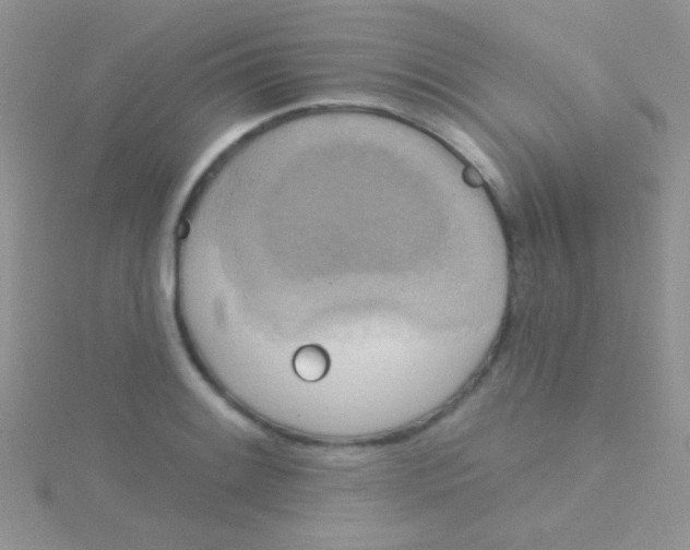 X0000115031084200911231107