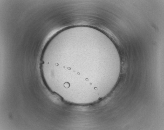 X0000115031086200911231107