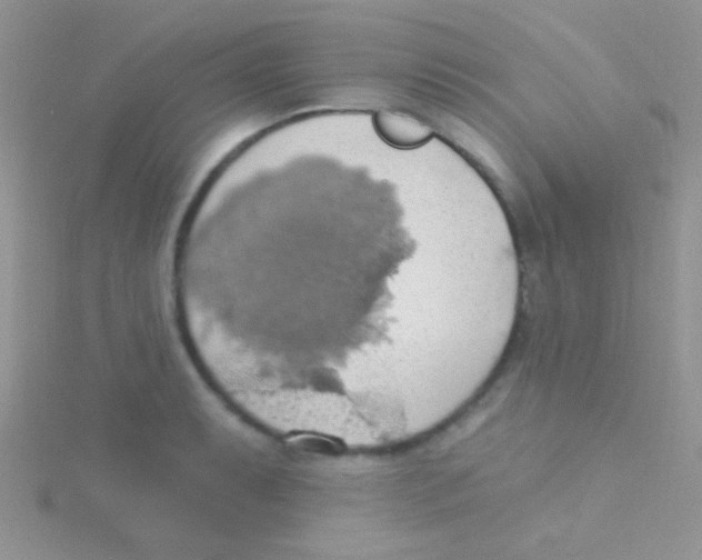 X0000115031087200911231107