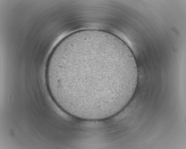 X0000115031091200911231107