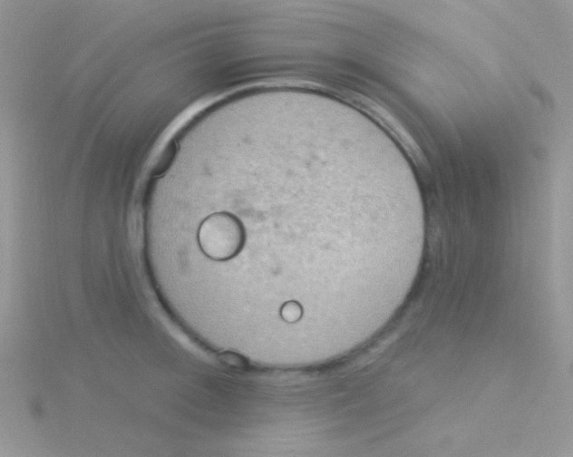 X0000115031092200911231107