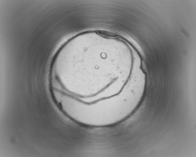 X0000115031093200911231107