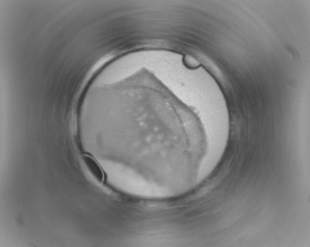 X0000115031095200911231107