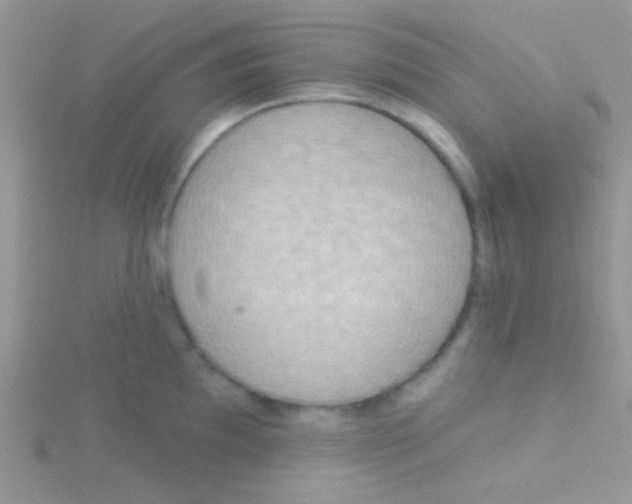 X0000115031097200911231107