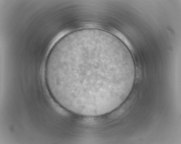 X0000115031098200911231107