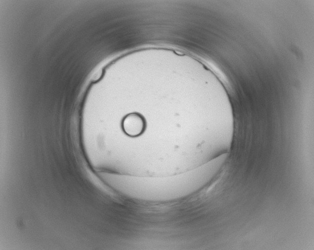 X0000115031100200911231107