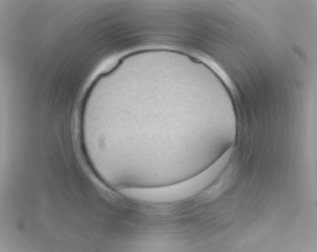 X0000115031101200911231107