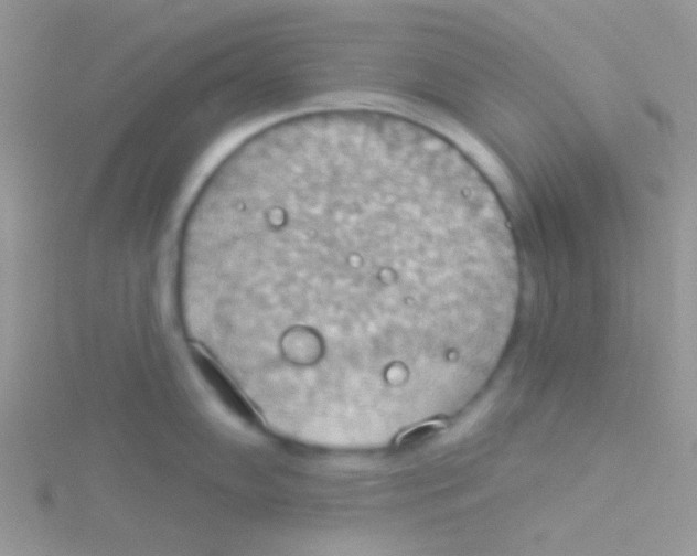 X0000115031102200911231107