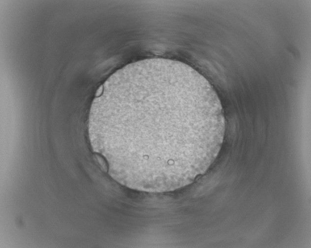 X0000115031105200911231106