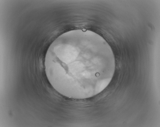 X0000115031106200911231106