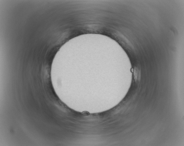 X0000115031107200911231106