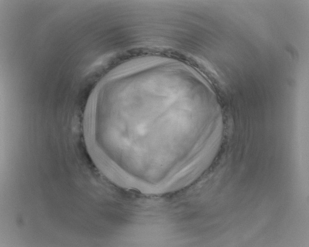 X0000115031110200911231106