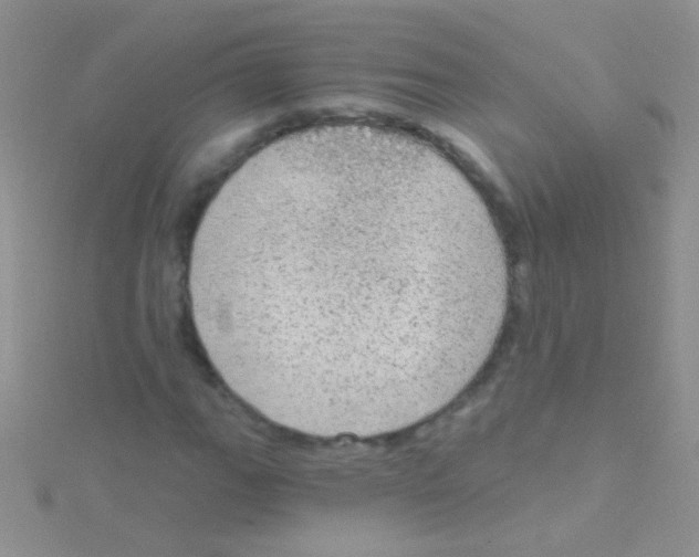 X0000115031111200911231106