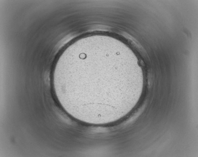 X0000115031113200911231106