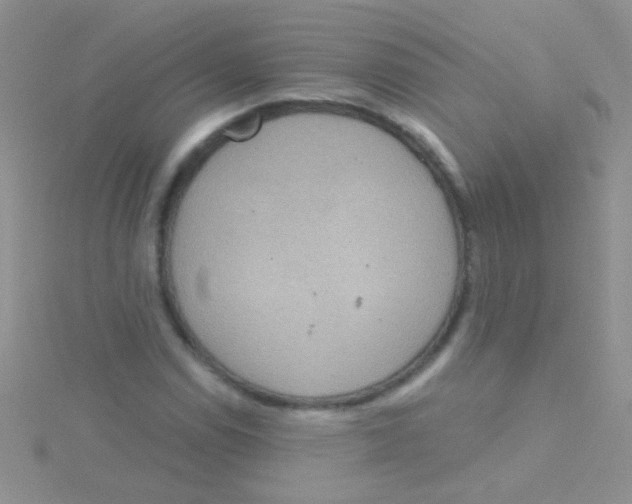 X0000115031114200911231106