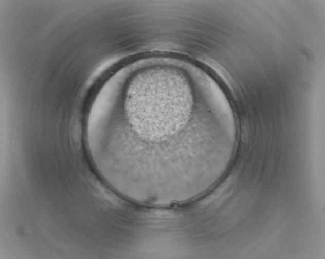 X0000115031115200911231106