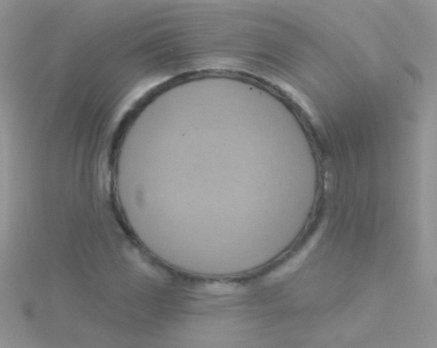 X0000115031117200911231106