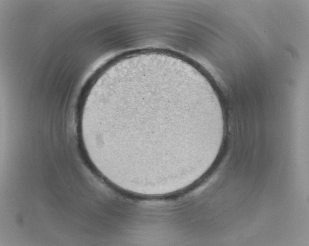 X0000115031118200911231106