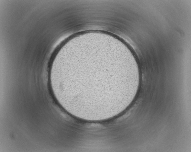 X0000115031119200911231106