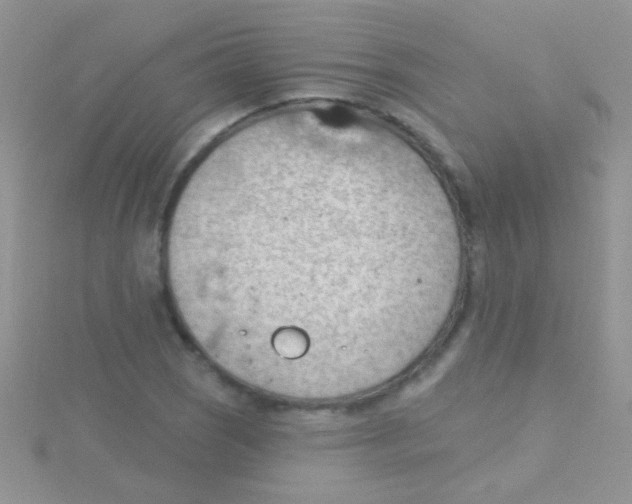 X0000115031121200911231107