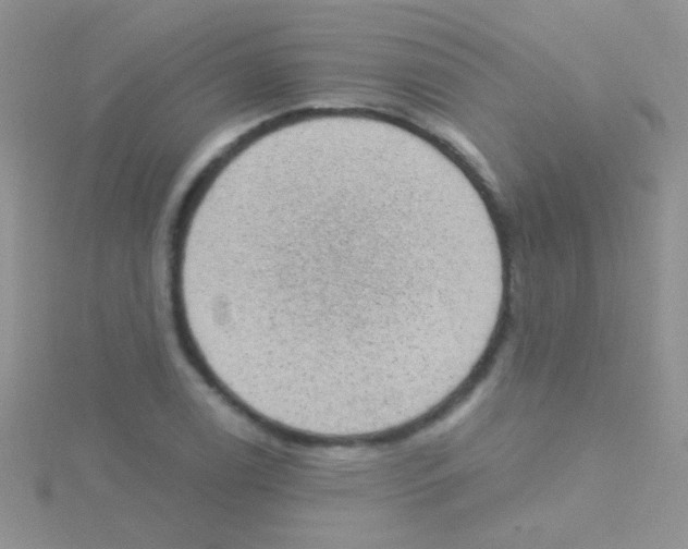 X0000115031122200911231107