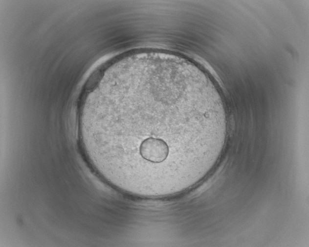 X0000115031123200911231107