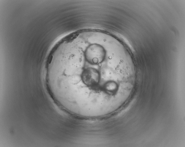 X0000115031125200911231107