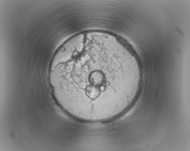 X0000115031129200911231107