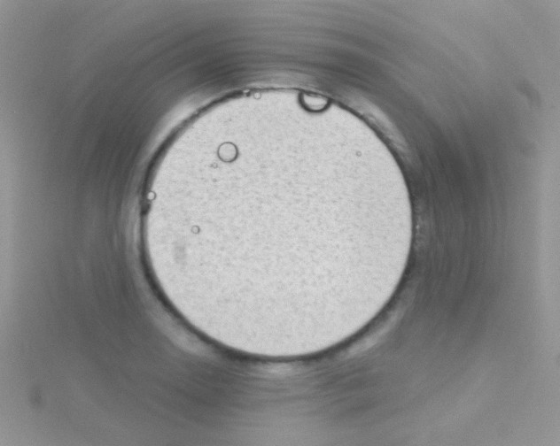 X0000115031130200911231107