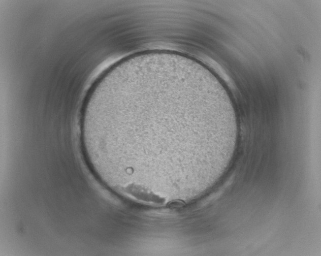 X0000115031133200911231107