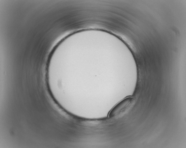 X0000115031134200911231107