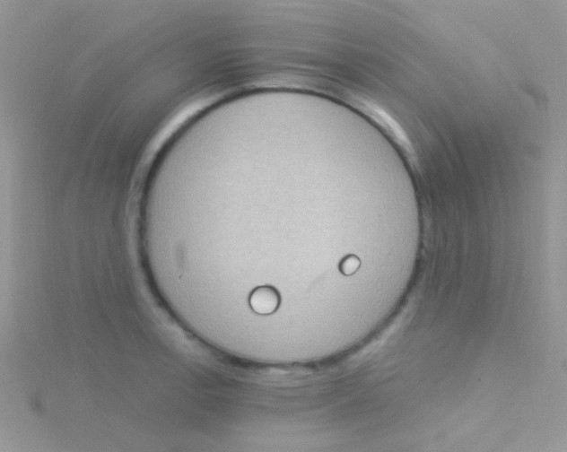 X0000115031138200911231107