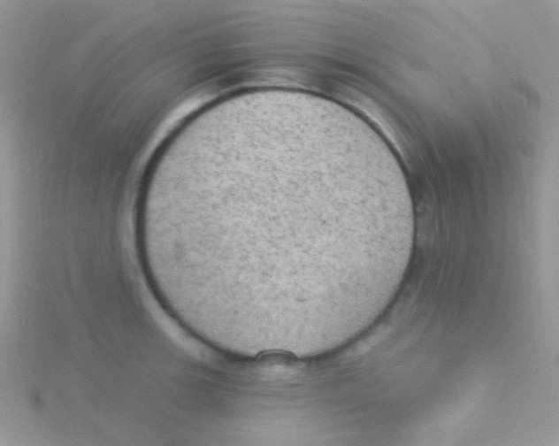 X0000115031139200911231107